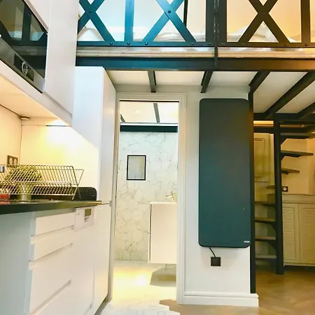 Duplex Artist Studio Converted Into A Loft Апартаменты *